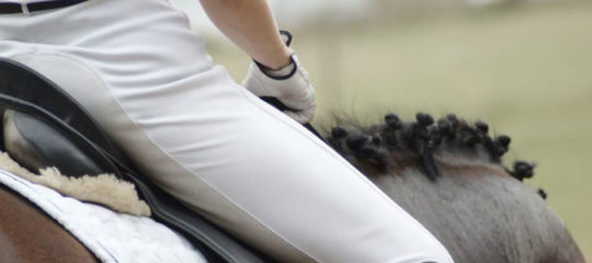 Choisir son pantalon d'équitation